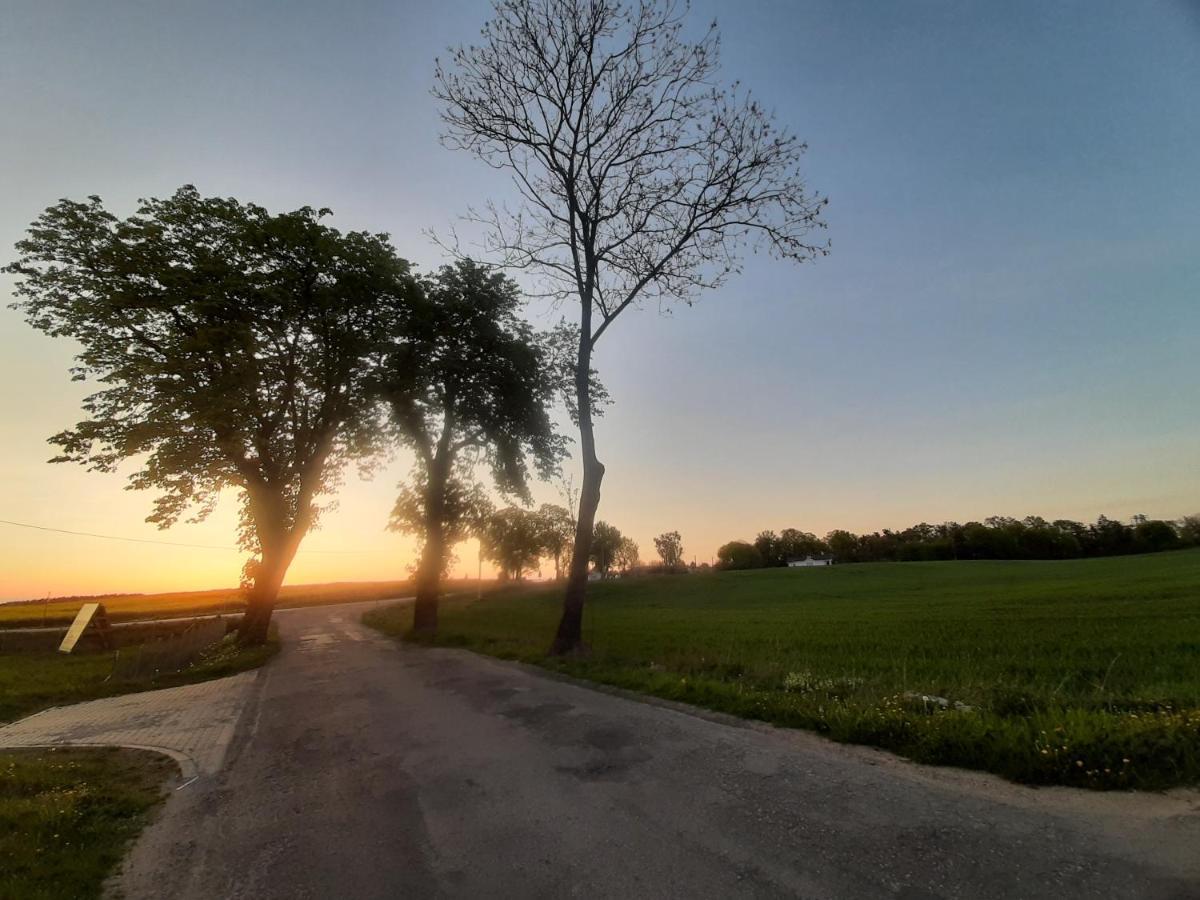 Noclegi Zdzislaw Sieradzki Zbiczno Esterno foto