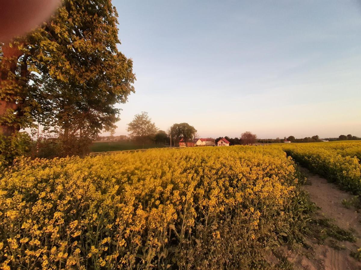 Noclegi Zdzislaw Sieradzki Zbiczno Esterno foto