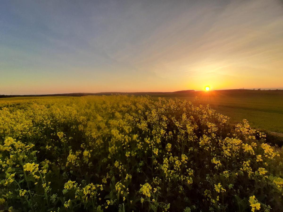 Noclegi Zdzislaw Sieradzki Zbiczno Esterno foto