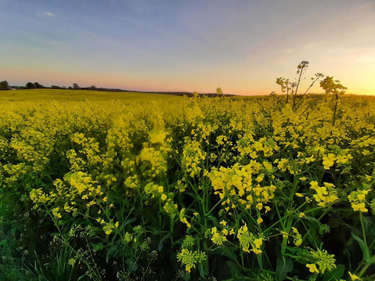 Noclegi Zdzislaw Sieradzki Zbiczno Esterno foto