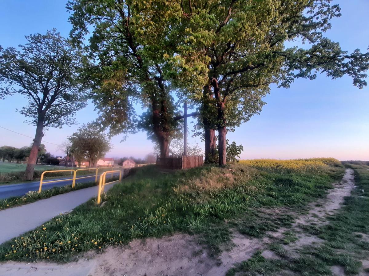 Noclegi Zdzislaw Sieradzki Zbiczno Esterno foto