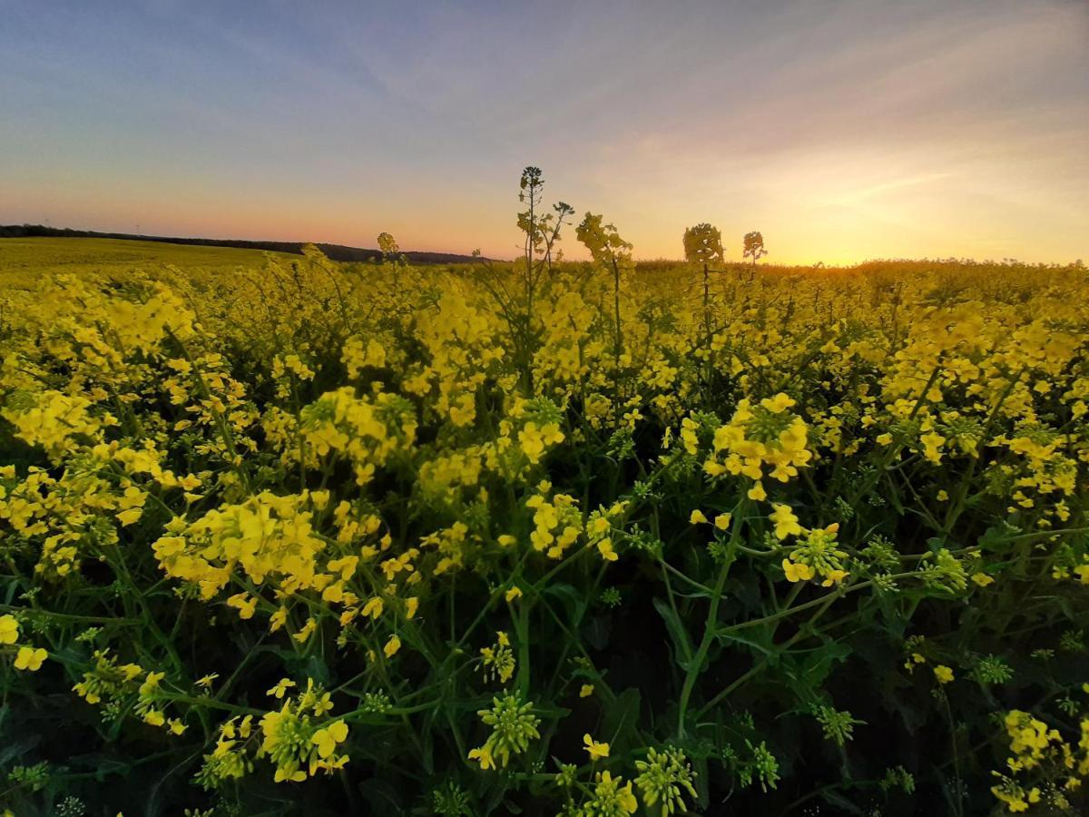 Noclegi Zdzislaw Sieradzki Zbiczno Esterno foto